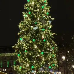 Sapin de noël 2024